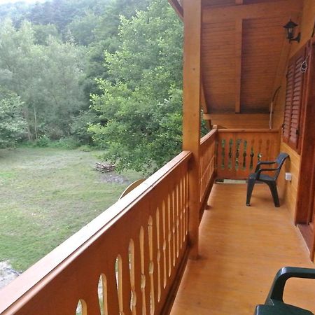 Chalet By The River Văliug Exterior photo