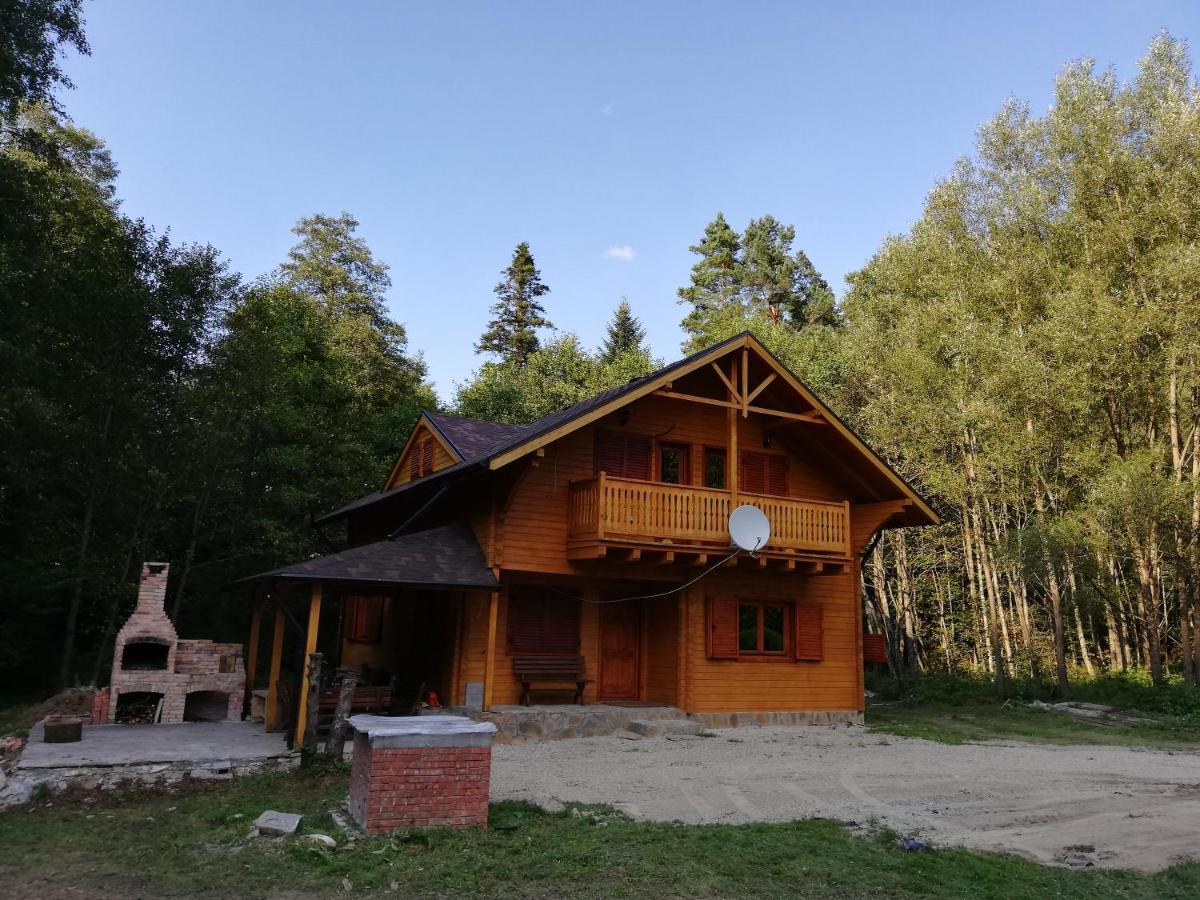 Chalet By The River Văliug Exterior photo