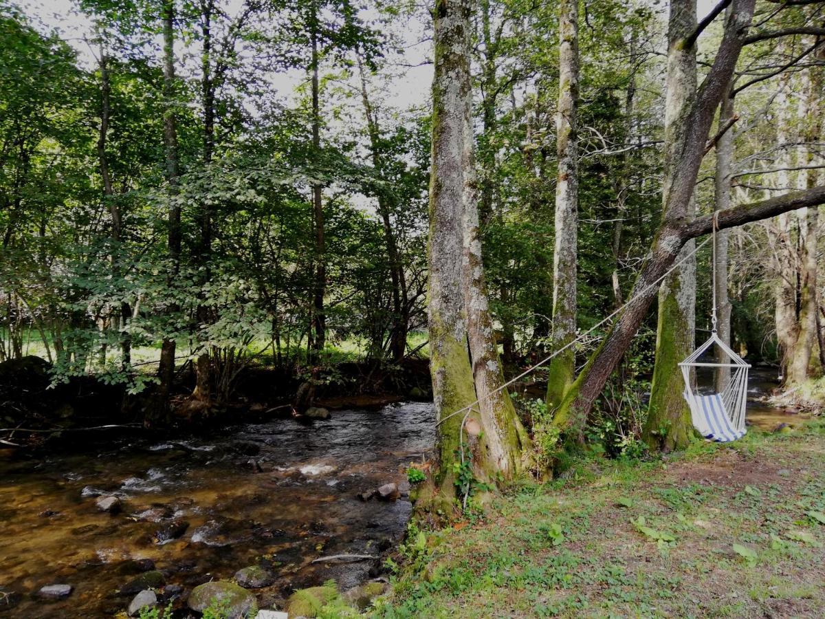 Chalet By The River Văliug Exterior photo
