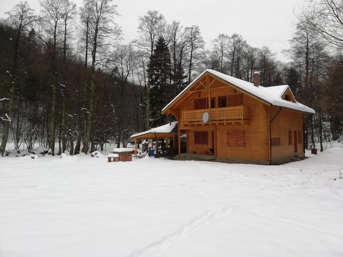 Chalet By The River Văliug Exterior photo