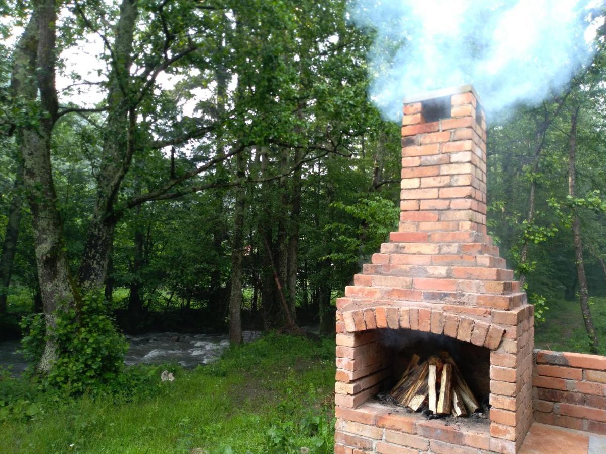 Chalet By The River Văliug Exterior photo