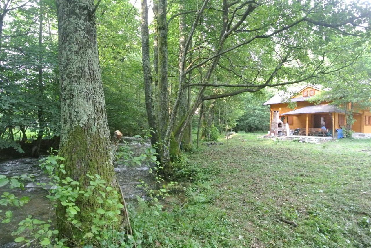 Chalet By The River Văliug Exterior photo