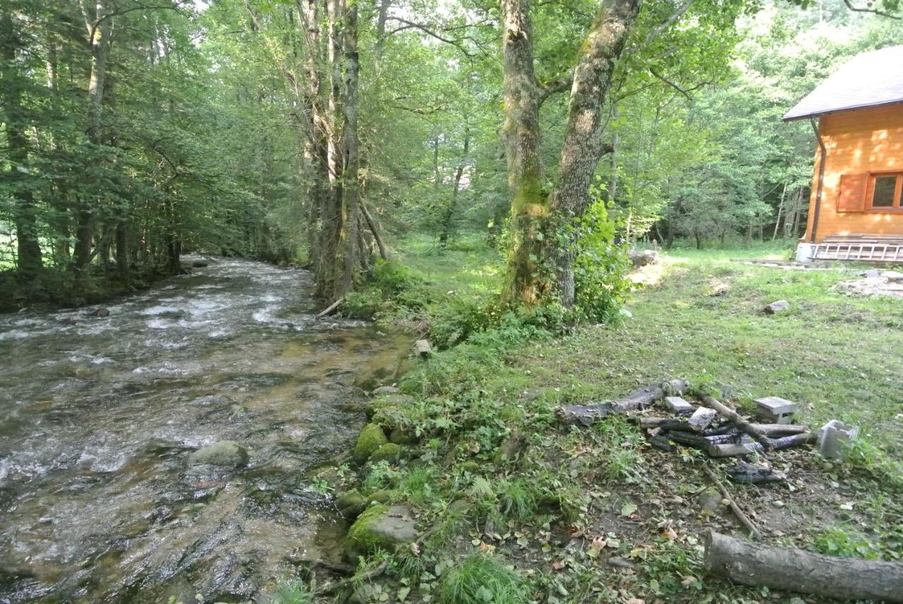 Chalet By The River Văliug Exterior photo