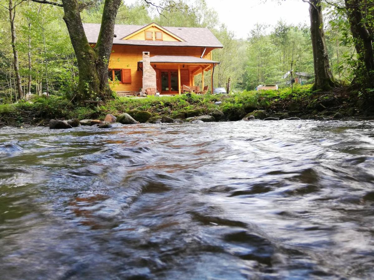 Chalet By The River Văliug Exterior photo
