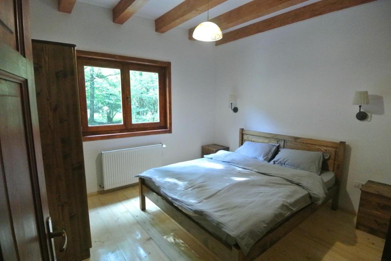 Chalet By The River Văliug Exterior photo